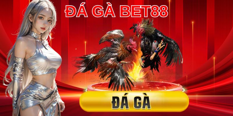 Đăng nhập vào tài khoản cá cược của riêng mình khi chơi đá gà Bet88
