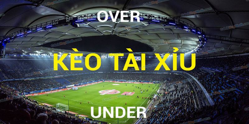 Kèo tài xỉu lôi cuốn, hấp dẫn mọi bet thủ
