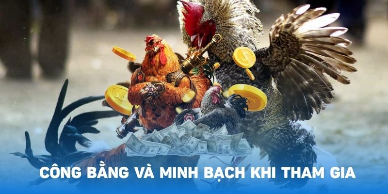 Sảnh đá gà 28 hoạt động an toàn và minh bạch