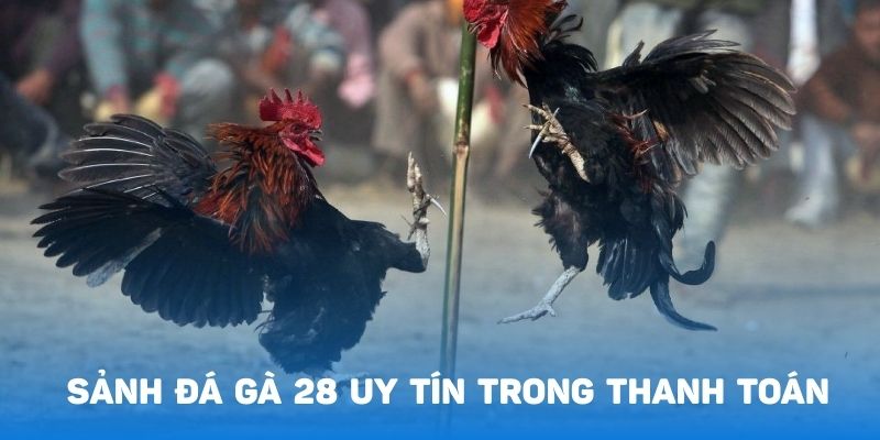 Tốc độ thanh toán từ sảnh đá gà 28 chỉ trong 20 phút